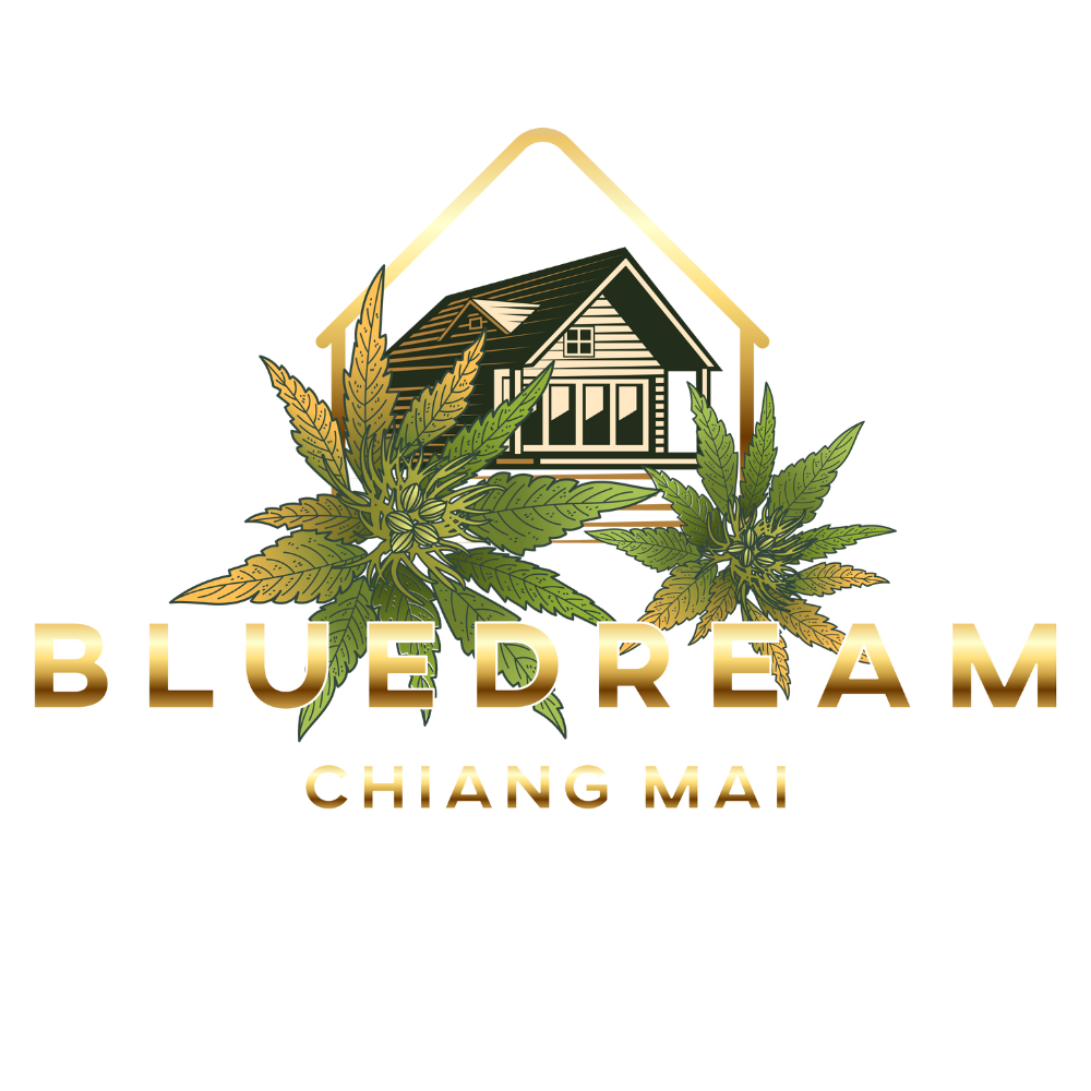 bluedreamchiangmai.com